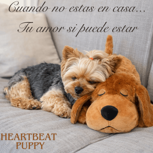 Heartbeat Puppy